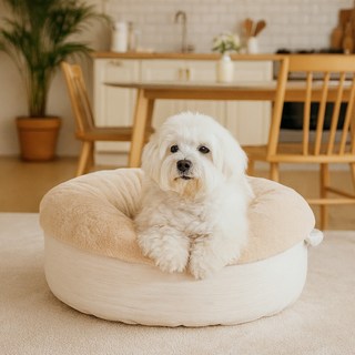 REDPUPPY 寵物 Riesen 舒適坐墊, 1個, 燕麥米色