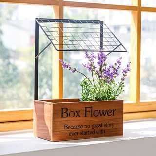 Happy Village 迷迭香 + 花盒套組, 1套, 混合色