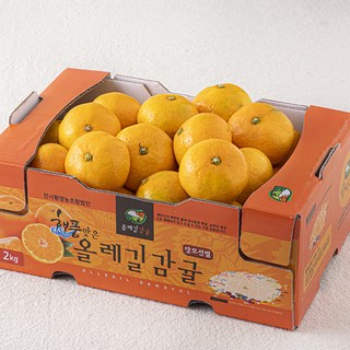 올레길 AI 당도선별 11brix 감귤, 2kg(소과), 1개