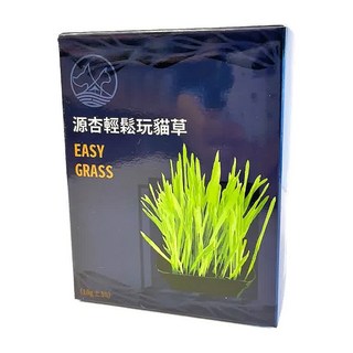 源杏 輕鬆玩 EASY GRASS, 貓草, 1個