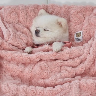 도그아이 반려동물 펫 꽈배기 담요, 베이비핑크, 1개