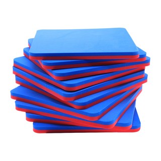 LivingDA 藍紅翻轉板 25cm 10入