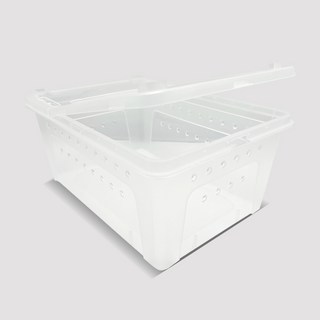 NOMOY PET H5 爬蟲類 兩棲類 餵食盒 大號 32 x 22 x 15 cm, 1個, 透明