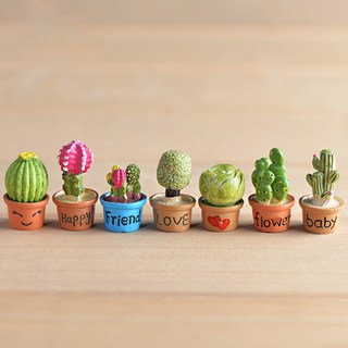 마켓플랜 미니어쳐 선인장 장식 7종 세트, 혼합색상