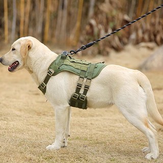 퍼플펫 강아지 대형견 앞섬방지 쓰리라인 하네스, 카키, 1개