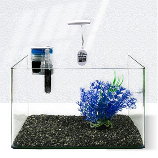 Canhu Aquarium 圓形花園魚缸組, 透明, 1套