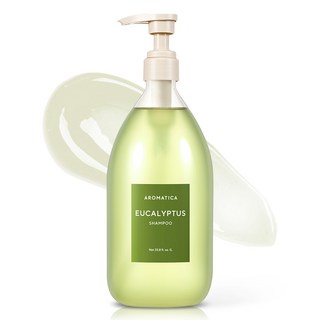 아로마티카 유칼립투스 탈모케어 샴푸, 1L, 1개