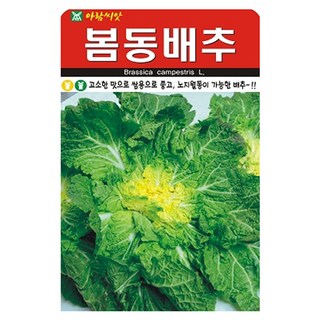 아람종묘 봄동배추 씨앗 5000p, 1개