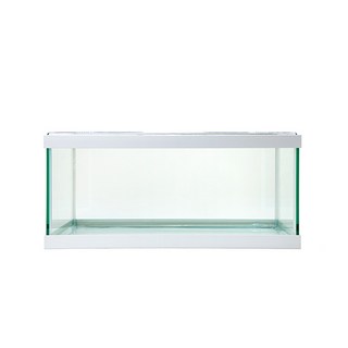 YP 淺型魚缸, 白色