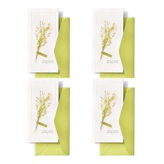 솜씨카드 플라워 축하 메세지 돈봉투, 그린, 4개