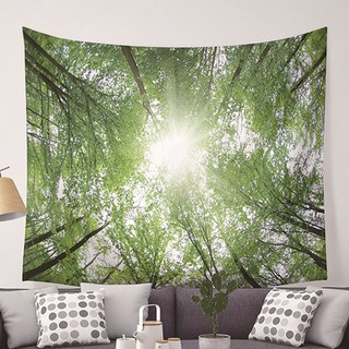 小森林海報掛布, 05