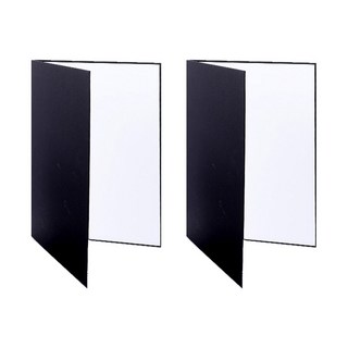 DAEHAN AUTOMOBILE 攝影用三色反光卡 大型, 單一商品, 2個