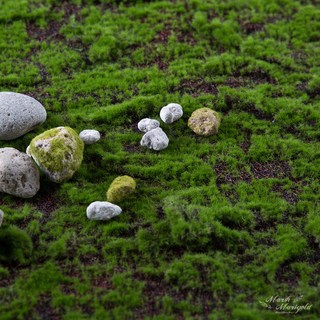 萬壽菊 人造花 人工草皮 苔蘚 草皮墊 100 x 100 cm, 混合色, 1個