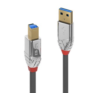 LINDY 林帝 CROMO USB3.0 Type A 公 to Type B 公 傳輸線, 0.5m, 1條