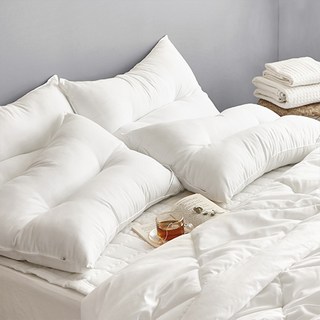 AIRE Feel 頸椎拉鍊式枕芯, 1個, 白色