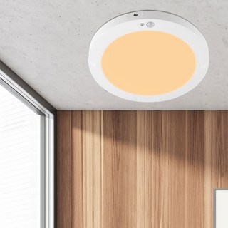 Wonha DS LED Luda 無頻閃圓形直下式感應燈 18W 22cm, 1個, 白色 + 黃光