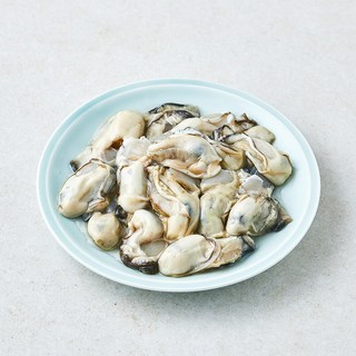 갯마을 남해안 이력제 가열조리용 봉지굴 (냉장), 1개, 180g