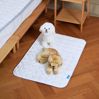 바디큐 듀라론 애견용 항균 냉감패드, 화이트, 1개