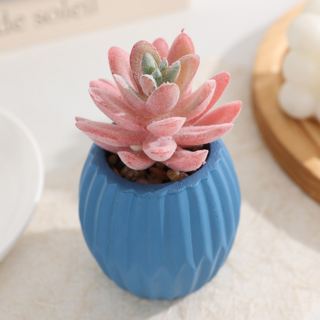 소울리치 예쁜 다육식물 조화 화분타입5, 스마일링 로터스 핑크, 1개