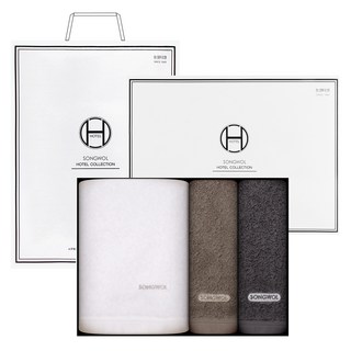 Songwol 松月 Comfort Ground 浴巾68 500g 40支精梳棉 + Comfort Ground 飯店毛巾 200g 40支精梳棉 2入組 + 提袋, 白色(浴巾), 綠色, 藍色(毛巾), 1套