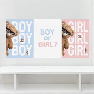 PartyIsland 小熊寶寶性別揭曉海報3件組 白色