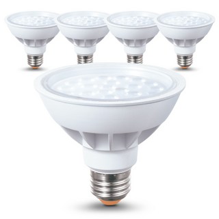 cityo LED PAR30燈泡 15W 集中款 5入, 黃光, 5個