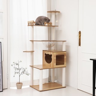 펫모닝 미유앤코 6단 먀오하우스 루프탑 캣타워, 베이지, 1개