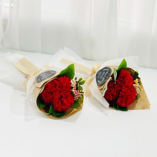 人造花小花束2件組, 3型康乃馨，紅色