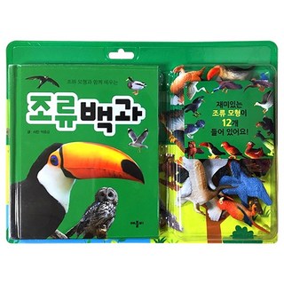 모형과 함께 배우는 백과, 조류, 애플비