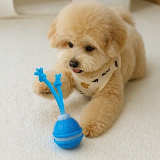 MAAH 반려동물 자동 새소리 나는 스마트 팻 볼 장난감 SCB-07, 블루, 1개