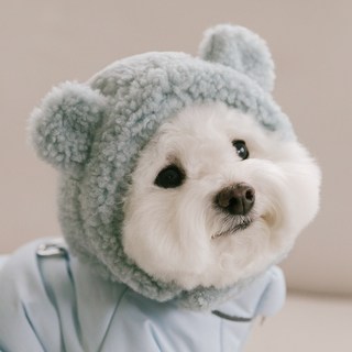 펫츠랜드 반려동물 몽글베어 모자, 스카이블루, 1개