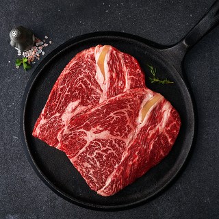 실속한우 조은장터 한우 숙성숙성등심 1++(7)등급 구이용 (냉장), 1개, 200g