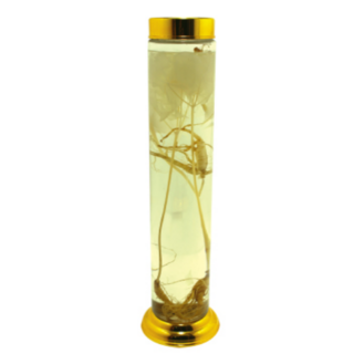 眞誠玻璃 釀酒瓶 Castle 3號, 2.5L, 1個