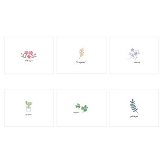 WALGADAKS 小花園 迷你卡片 6款套組, 1組, 顏色隨機