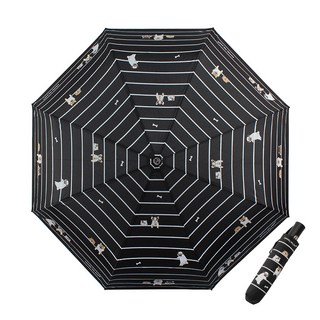 피에르가르뎅 마이펫 완전 자동우산