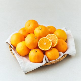 선우마케팅 미국산 만다린, 1개, 1.5kg