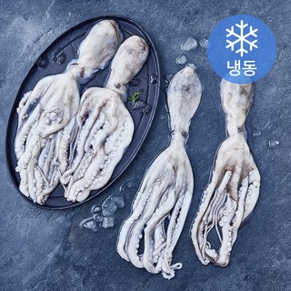 신선작 활낙지 (냉동), 1개, 850g