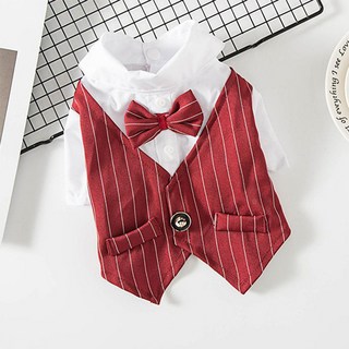 Wavy Days Le De 寵物條紋西裝燕尾服, 1個, 酒紅色