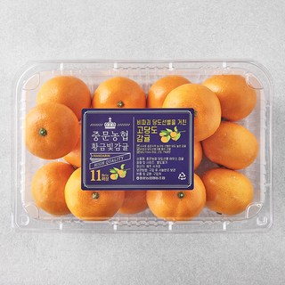 중문농협 당도선별 황금빛 진지향, 1.4kg(10~17입), 1개