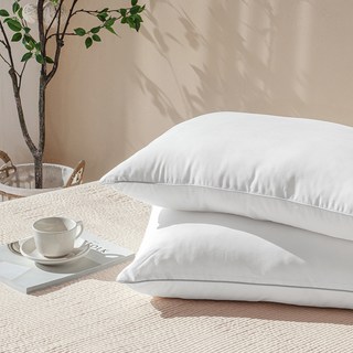 루아베 빨아쓰는 베개 지퍼형, 화이트, 1개