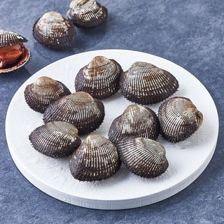 숨비해물 국내산 육즙이 가득한 피꼬막 피조개 (냉장), 1개, 1kg