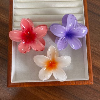 스타일플래닛 트로피컬플라워 포인트 헤어 집게핀 3종 세트