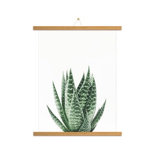 室內裝飾海報 仙人掌H + 木質掛軸組 掛繩隨機出貨, 摩卡木色