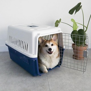 DING DONG PET 寵物航空籠 硬式外出籠, 海軍藍, 1個