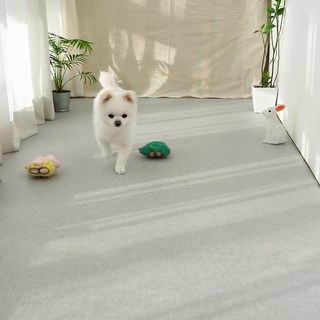 LIFANG 寵物防滑地墊 走廊型, 織物灰色, 1個