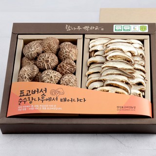 ChamnamuParkchago 香菇冬菇2種組合 250g, 1套