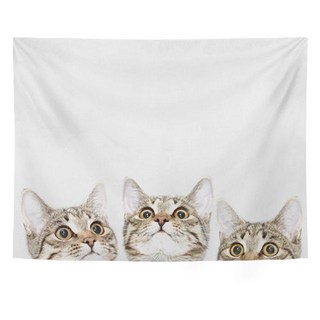 明星貓咪背景掛布海報, TYPE 4