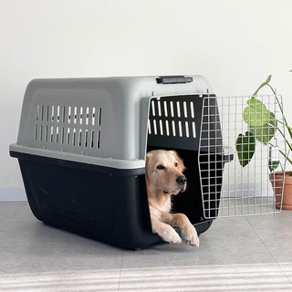 DING DONG PET 寵物外出籠 特大, 黑色, 1個