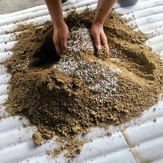 위드블럭 배수 잘되는 분갈이 텃밭흙 플러스, 1개, 20kg