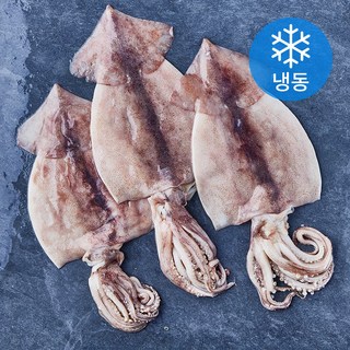 손질 김씨밥 오징어 대 (냉동), 1개, 650g